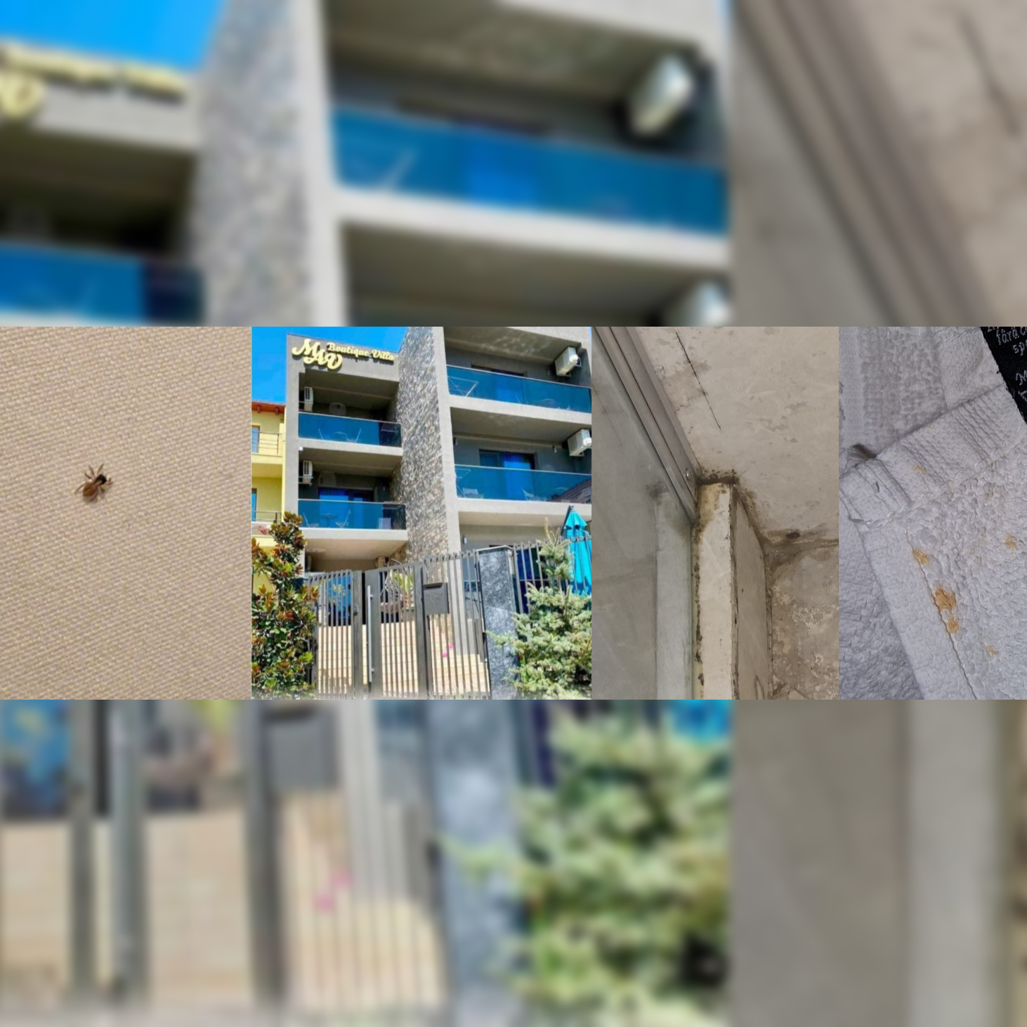 FOTO „Doar 450 de lei” ca să dormi cu gândacii în pat și să te ștergi cu rugină după ce te speli în cabina cu mucegai, la Eforie Nord/ O vacanță de coșmar pentru doi turiști din București Image Editor 2025 07 28T075100.685