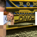 MINUTA Tribunalul Argeș a respins arestările cerute de DNA în dosarul TVA de 9,3 mil. € / Doar două persoane puse în arest la domiciliu Image Editor 2025 07 29T231926.572