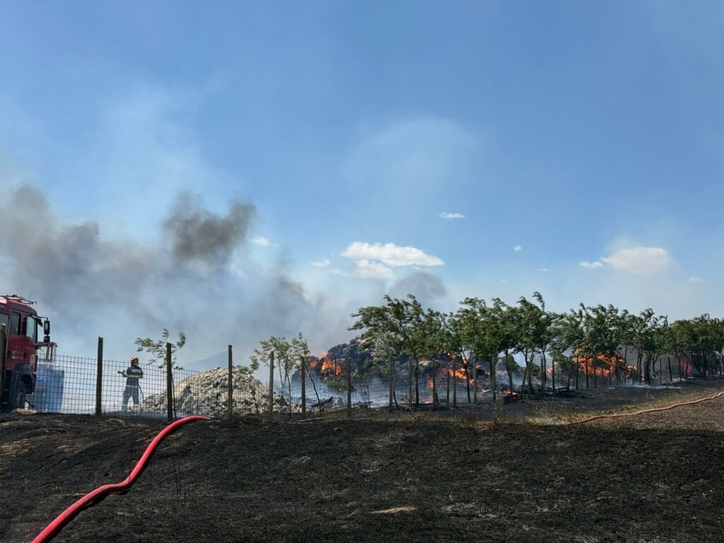 FOTO VIDEO Incendiu de proporții la o stână din municipiul Tulcea/ Pompierii intervin cu mai multe autospeciale/ Flăcările s-au extins UPDATE Imagine WhatsApp 2025 07 02 la 13.32.18 091b93a0 1