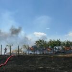 FOTO VIDEO Incendiu de proporții la o stână din municipiul Tulcea/ Pompierii intervin cu mai multe autospeciale Imagine WhatsApp 2025 07 02 la 13.32.18 091b93a0