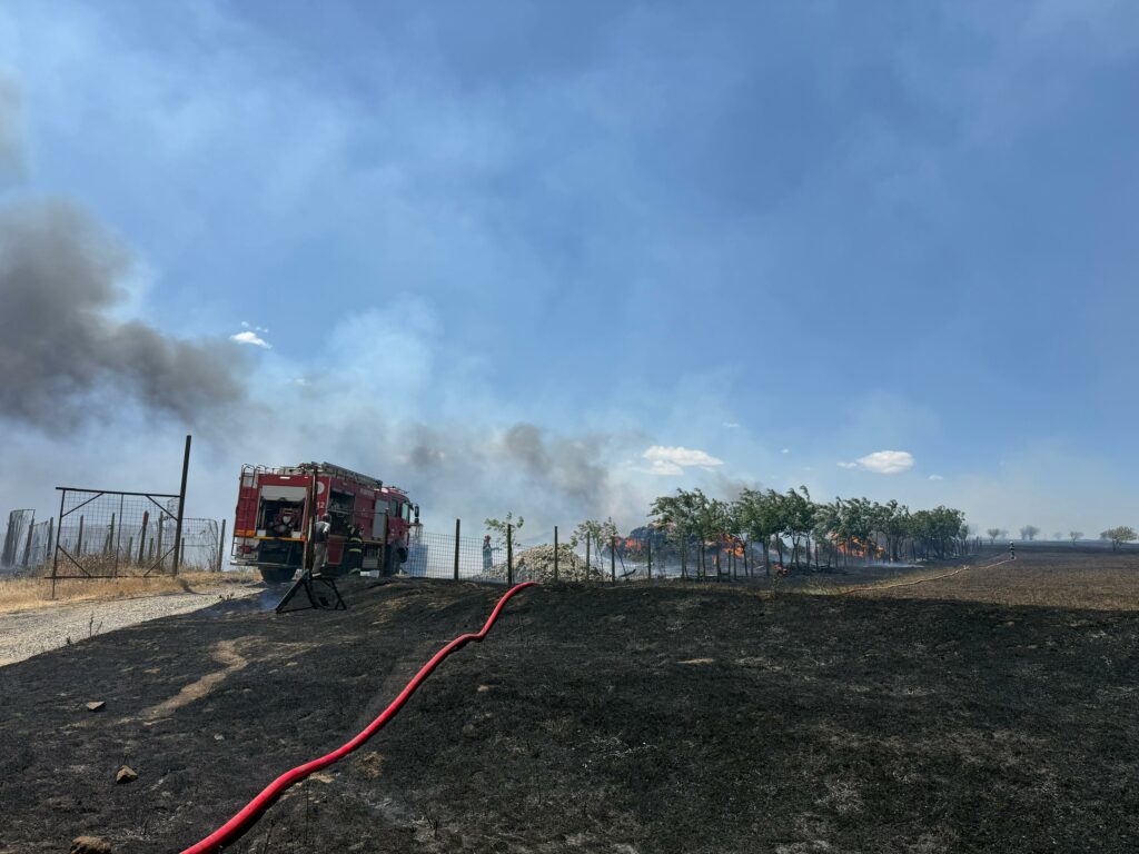 FOTO VIDEO Incendiu de proporții la o stână din municipiul Tulcea/ Pompierii intervin cu mai multe autospeciale/ Flăcările s-au extins UPDATE Imagine WhatsApp 2025 07 02 la 13.32.19 2952d9e1 1