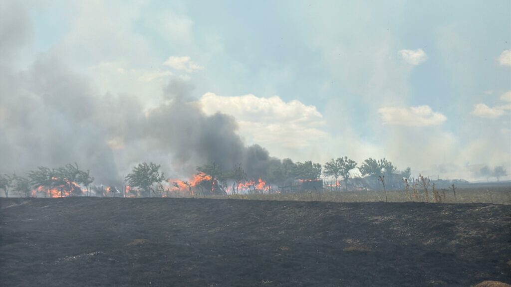 FOTO VIDEO Incendiu de proporții la o stână din municipiul Tulcea/ Pompierii intervin cu mai multe autospeciale/ Flăcările s-au extins UPDATE Imagine WhatsApp 2025 07 02 la 13.32.20 29890a06 1