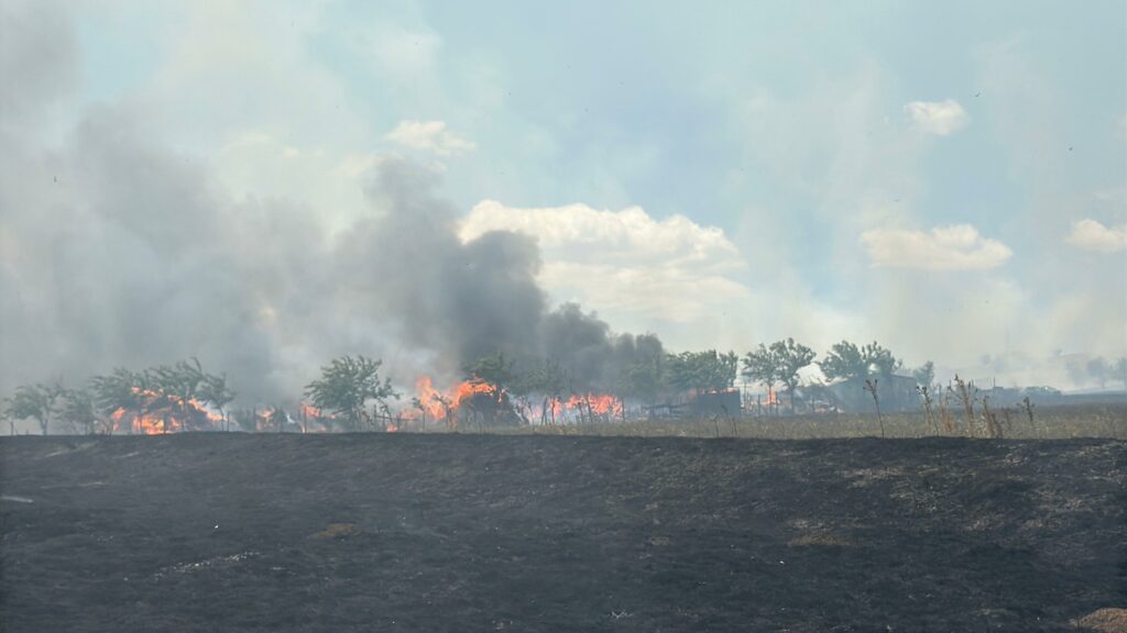 FOTO VIDEO Incendiu de proporții la o stână din municipiul Tulcea/ Pompierii intervin cu mai multe autospeciale/ Flăcările s-au extins UPDATE Imagine WhatsApp 2025 07 02 la 13.32.21 5c7ed7dc 1