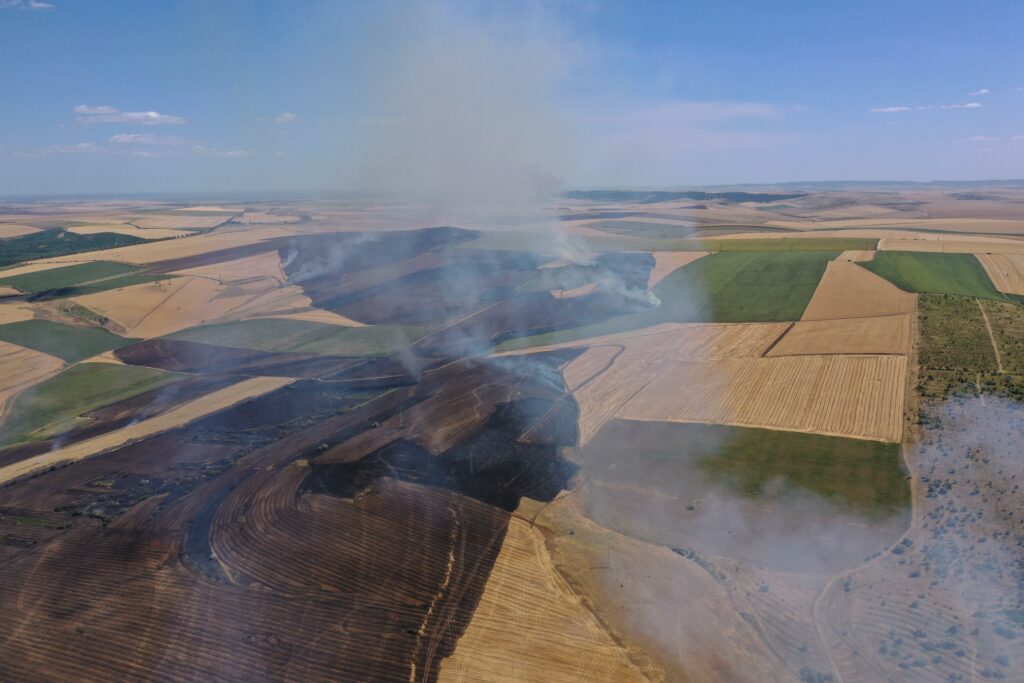FOTO VIDEO Incendiu de proporții la o stână din municipiul Tulcea/ Pompierii intervin cu mai multe autospeciale/ Flăcările s-au extins UPDATE Imagine WhatsApp 2025 07 02 la 16.03.42 6c6ac944
