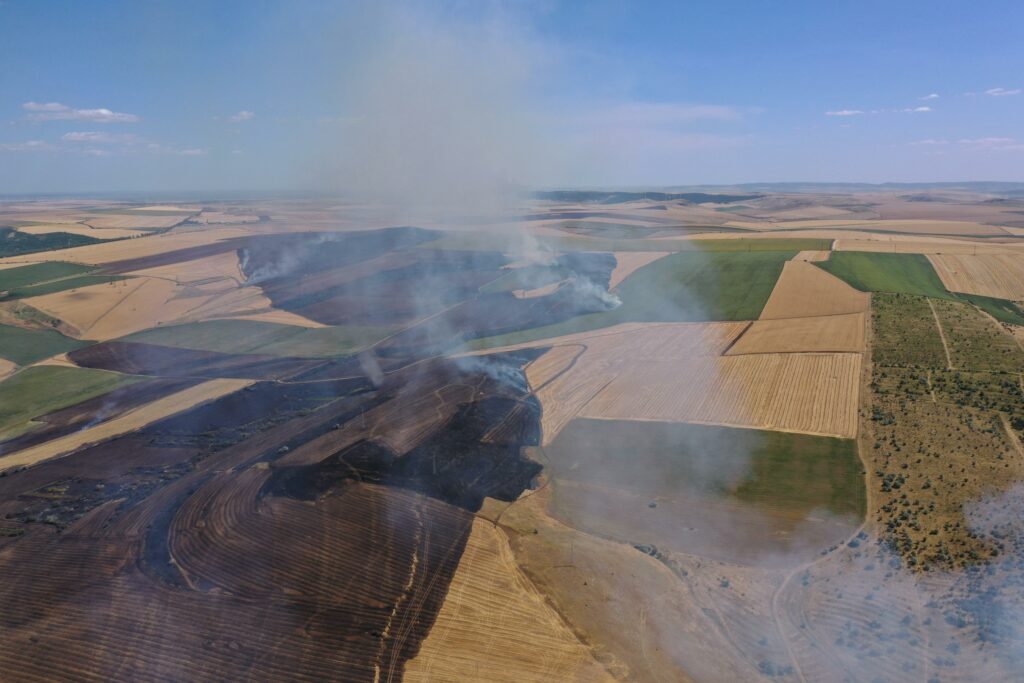 FOTO VIDEO Incendiu de proporții la o stână din municipiul Tulcea/ Pompierii intervin cu mai multe autospeciale/ Flăcările s-au extins UPDATE Imagine WhatsApp 2025 07 02 la 16.03.42 b00d5cc6