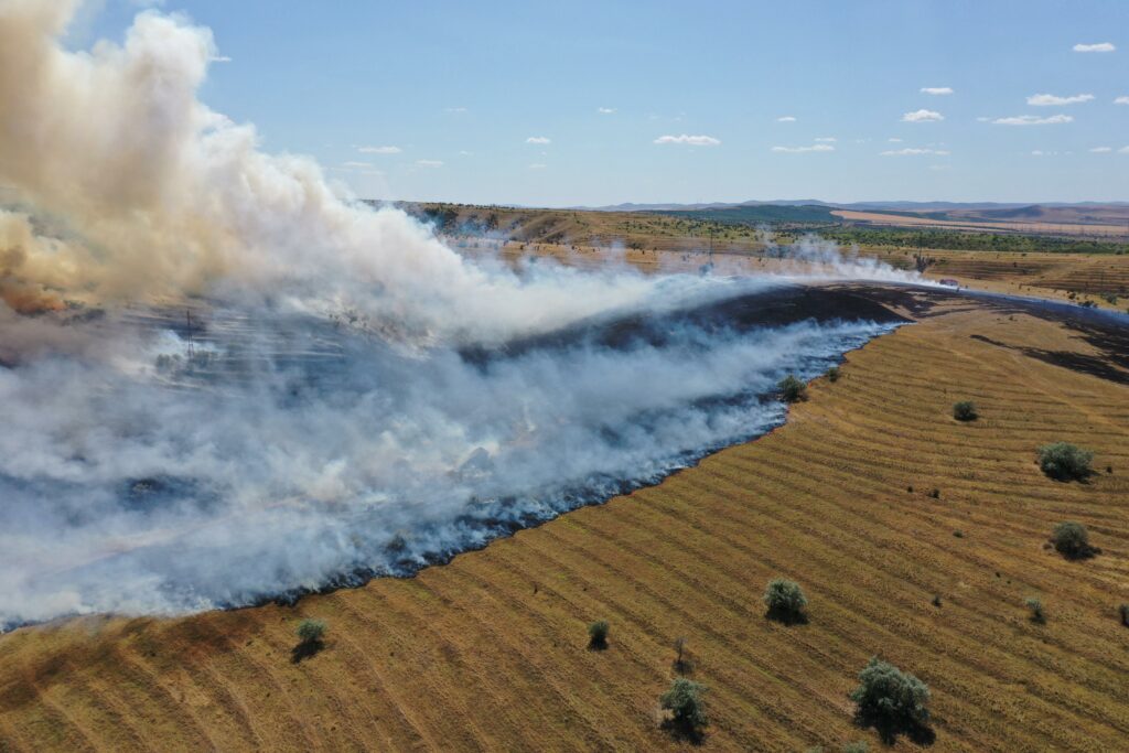 FOTO VIDEO Incendiu de proporții la o stână din municipiul Tulcea/ Pompierii intervin cu mai multe autospeciale/ Flăcările s-au extins UPDATE Imagine WhatsApp 2025 07 02 la 16.03.43 65558261