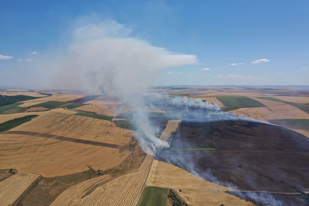 FOTO VIDEO Incendiu de proporții la o stână din municipiul Tulcea/ Pompierii intervin cu mai multe autospeciale/ Flăcările s-au extins UPDATE Imagine WhatsApp 2025 07 02 la 16.03.44 71e665fa