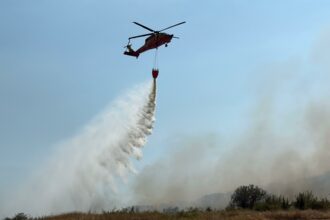 FOTO VIDEO Intervenții contra-cronometru ale pompierilor tulceni la Niculițel, Chilia Veche, Trestenic și Slava Rusă Imagine WhatsApp 2025 07 08 la 16.21.54 c95431ad