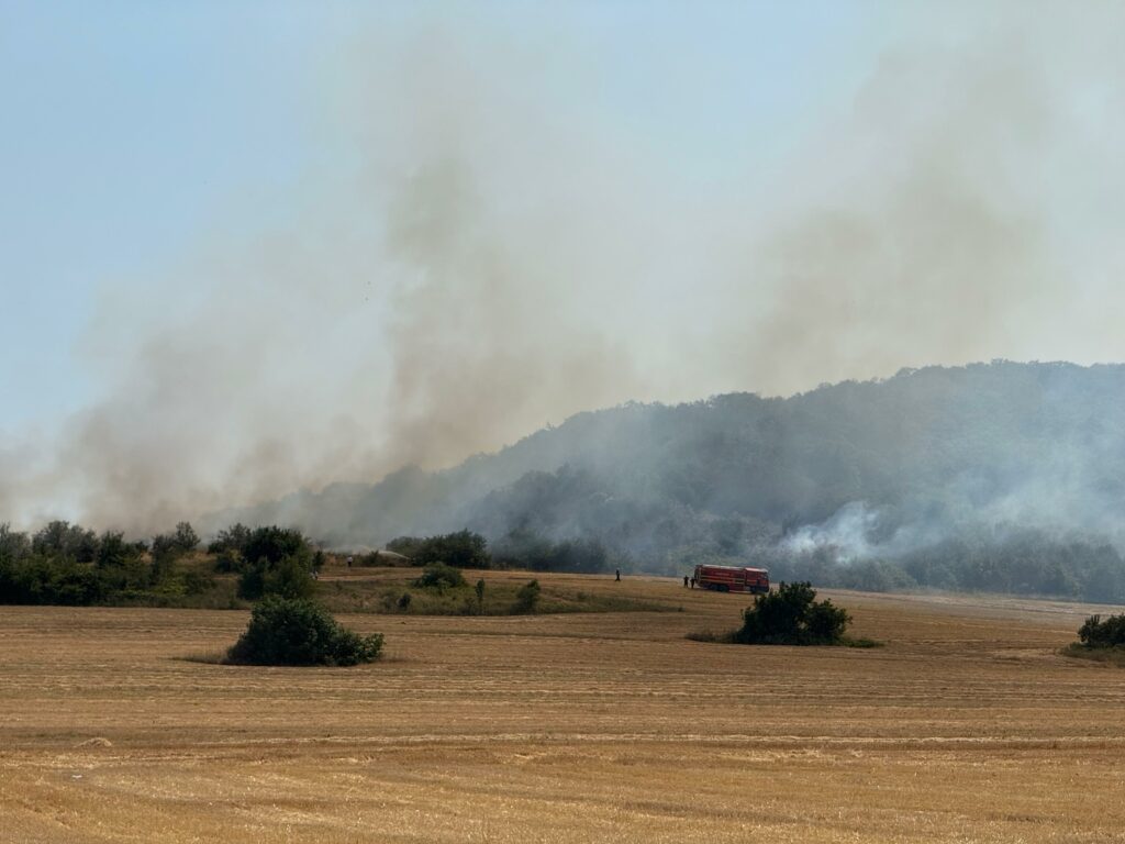 FOTO VIDEO Intervenții contra-cronometru ale pompierilor tulceni la Niculițel, Chilia Veche, Trestenic și Slava Rusă 2 FOTO VIDEO Intervenții contra-cronometru ale pompierilor tulceni la Niculițel, Chilia Veche, Trestenic și Slava Rusă Imagine WhatsApp 2025 07 08 la 16.21.55 ba9afc5f