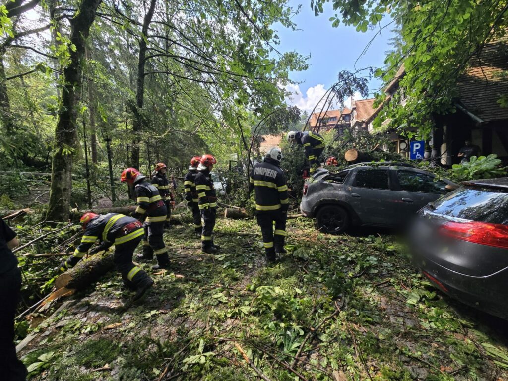 Peste 1.800 de situații de urgență gestionate de pompieri într-o singură zi: persoane salvate, incendii stinse și intervenții în urma furtunilor 6 Peste 1.800 de situații de urgență gestionate de pompieri într-o singură zi: persoane salvate, incendii stinse și intervenții în urma furtunilor Imagine WhatsApp 2025 07 10 la 09.47.05 5362bf85 1