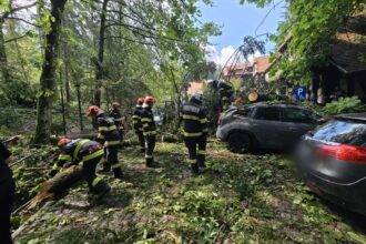 Peste 1.800 de situații de urgență gestionate de pompieri într-o singură zi: persoane salvate, incendii stinse și intervenții în urma furtunilor Imagine WhatsApp 2025 07 10 la 09.47.05 5362bf85