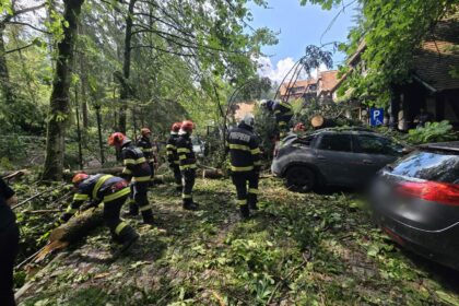 Peste 1.800 de situații de urgență gestionate de pompieri într-o singură zi: persoane salvate, incendii stinse și intervenții în urma furtunilor Imagine WhatsApp 2025 07 10 la 09.47.05 5362bf85