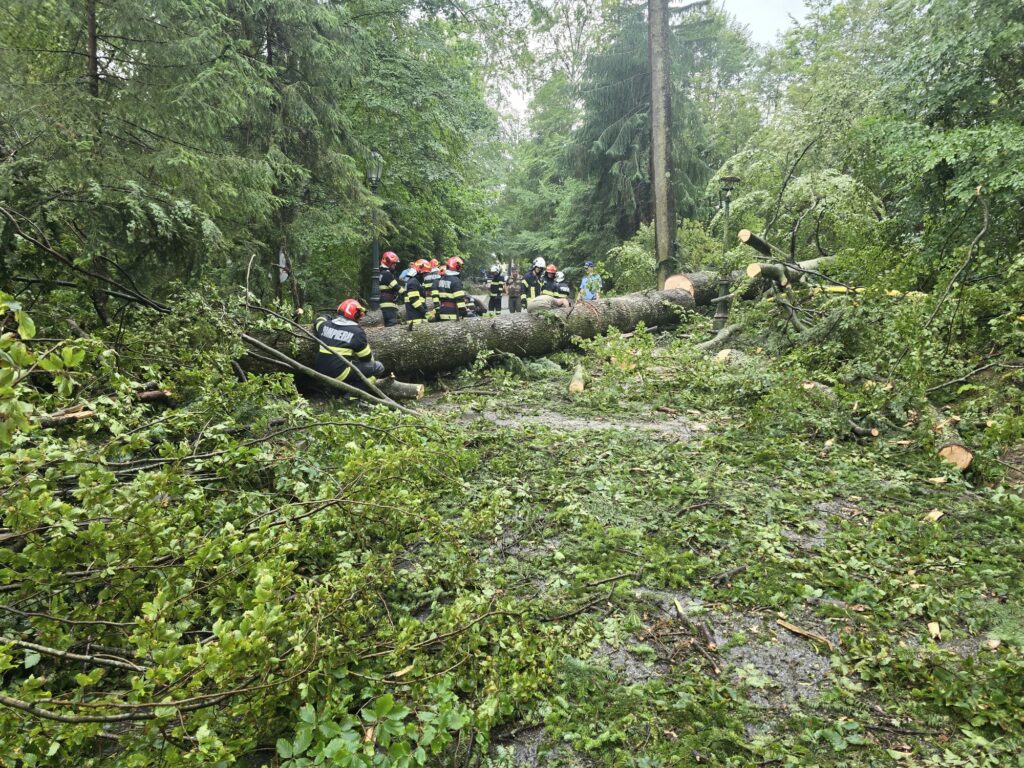 Peste 1.800 de situații de urgență gestionate de pompieri într-o singură zi: persoane salvate, incendii stinse și intervenții în urma furtunilor 5 Peste 1.800 de situații de urgență gestionate de pompieri într-o singură zi: persoane salvate, incendii stinse și intervenții în urma furtunilor Imagine WhatsApp 2025 07 10 la 09.47.05 9e63ea8b