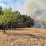 Pompierii continuă pentru a doua zi lupta cu incendiul din pădurea de la Greci Imagine WhatsApp 2025 07 14 la 18.59.23 19f33ba8