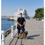 FOTO VIDEO Cel mai nou membru al jandarmilor constănțeni: Aria, cățelușă specializată pe detectarea drogurilor Untitled design2