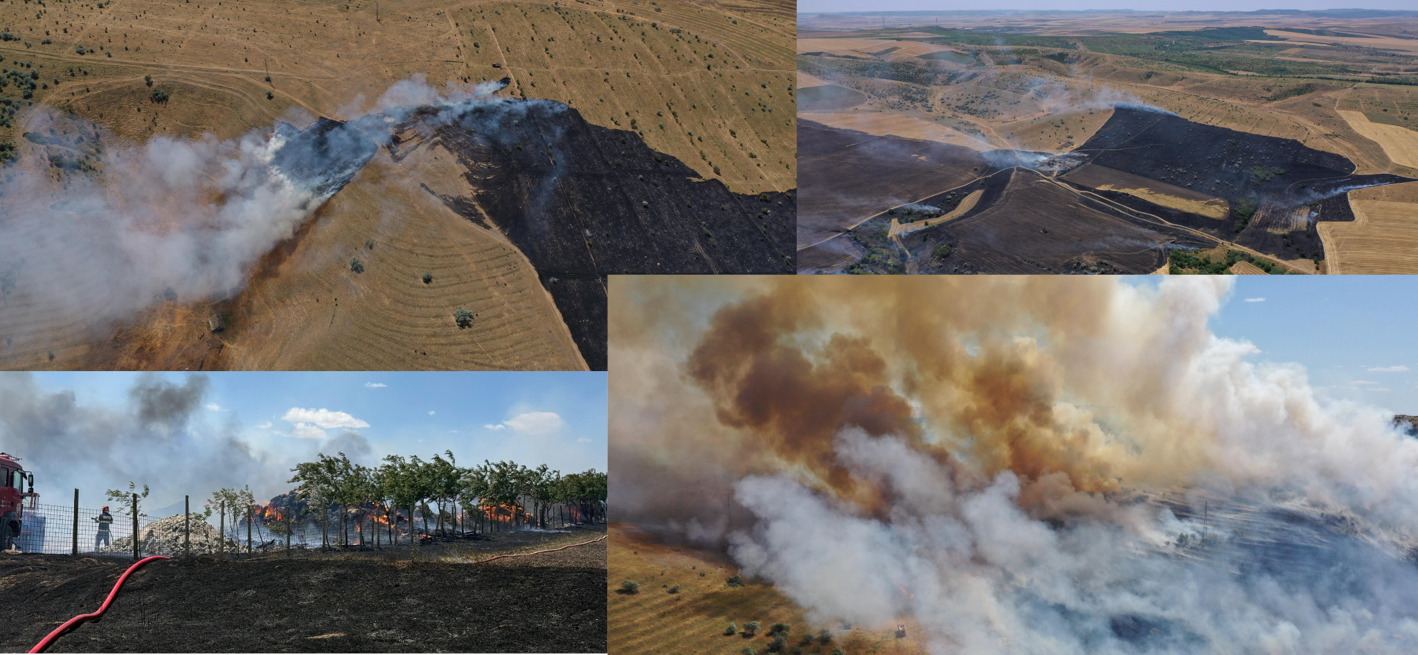 FOTO VIDEO Incendiu de proporții la o stână din municipiul Tulcea/ Pompierii intervin cu mai multe autospeciale/ Flăcările s-au extins UPDATE Untitled design27