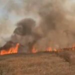 VIDEO Un incendiu de vegetație uscată a izbucnit la Eforie Nord WhatsApp Image 2025 07 03 at 18.53.34 1