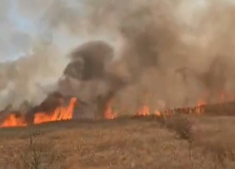 VIDEO Un incendiu de vegetație uscată a izbucnit la Eforie Nord UPDATE WhatsApp Image 2025 07 03 at 18.53.34 1