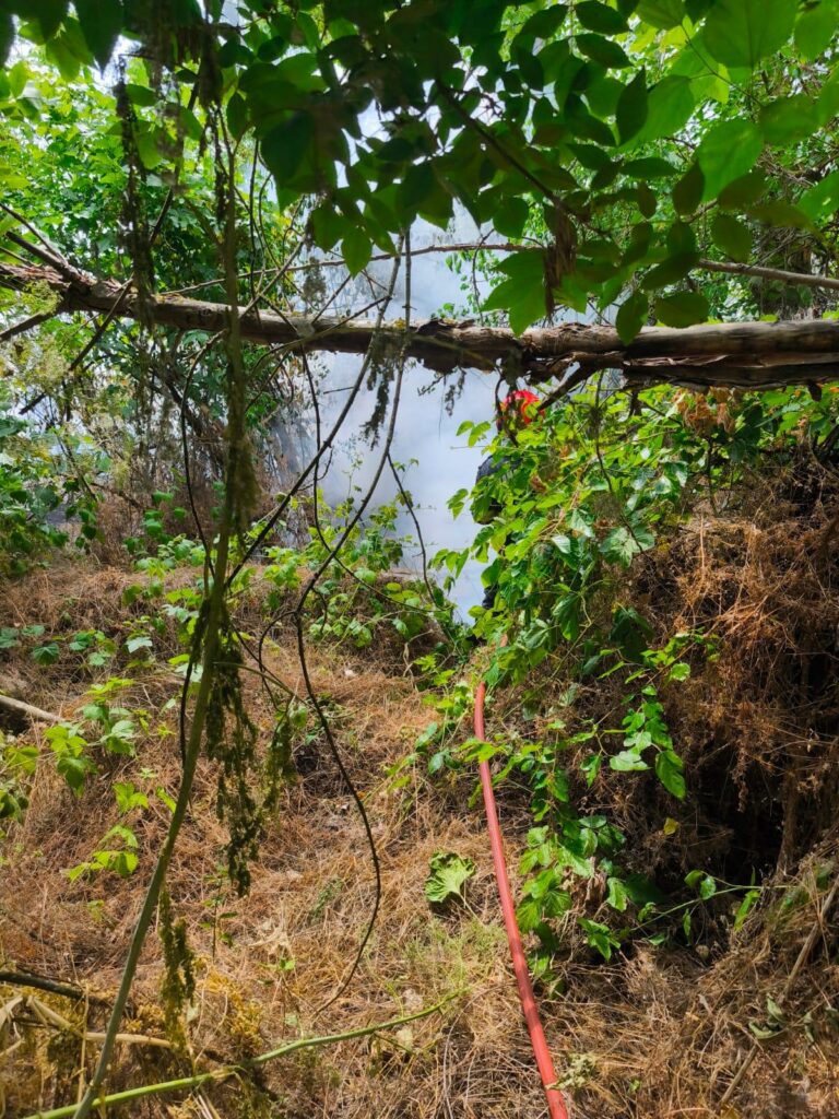 FOTO VIDEO Pompierii intervin la Chilia pentru stingerea unui incendiu extins la vegetație și pădure/ Intervine elicopterul Black Hawk 3 FOTO VIDEO Pompierii intervin la Chilia pentru stingerea unui incendiu extins la vegetație și pădure/ Intervine elicopterul Black Hawk WhatsApp Image 2025 07 05 at 19.05.33 1