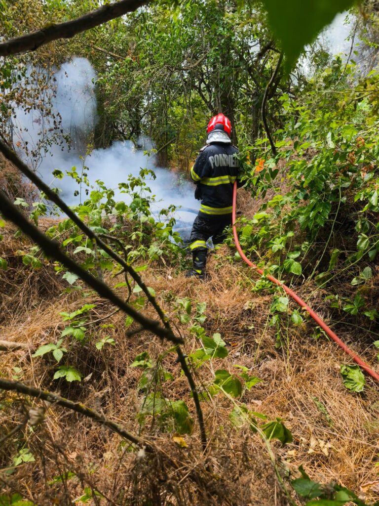 FOTO VIDEO Pompierii intervin la Chilia pentru stingerea unui incendiu extins la vegetație și pădure/ Intervine elicopterul Black Hawk 2 FOTO VIDEO Pompierii intervin la Chilia pentru stingerea unui incendiu extins la vegetație și pădure/ Intervine elicopterul Black Hawk WhatsApp Image 2025 07 05 at 19.05.34