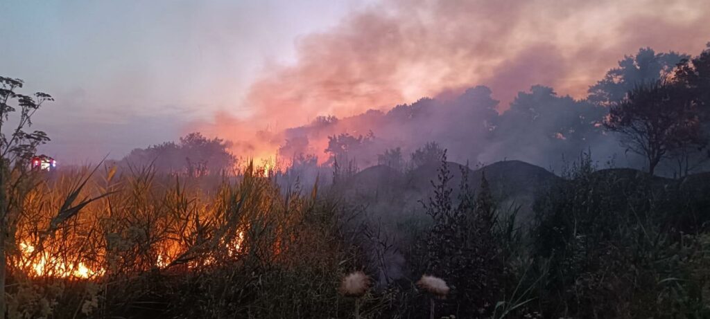 VIDEO Pompierii intervin la Chilia pentru stingerea unui incendiu extins la vegetație și pădure/ Intervine elicopterul Black Hawk UPDATE 9 VIDEO Pompierii intervin la Chilia pentru stingerea unui incendiu extins la vegetație și pădure/ Intervine elicopterul Black Hawk UPDATE WhatsApp Image 2025 07 05 at 23.56.06 1