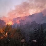 VIDEO Pompierii intervin la Chilia pentru stingerea unui incendiu extins la vegetație și pădure/ Intervine elicopterul Black Hawk UPDATE WhatsApp Image 2025 07 05 at 23.56.06