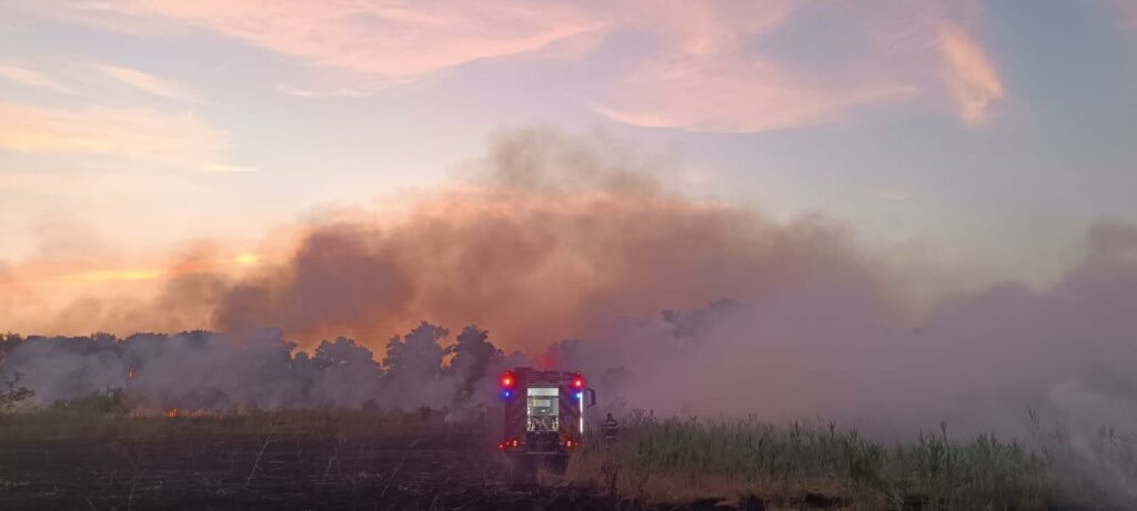 VIDEO Pompierii intervin la Chilia pentru stingerea unui incendiu extins la vegetație și pădure/ Intervine elicopterul Black Hawk UPDATE 8 VIDEO Pompierii intervin la Chilia pentru stingerea unui incendiu extins la vegetație și pădure/ Intervine elicopterul Black Hawk UPDATE WhatsApp Image 2025 07 05 at 23.56.07