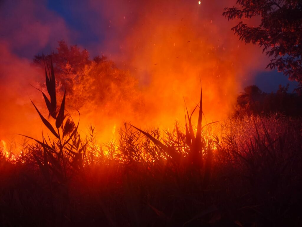 VIDEO Pompierii intervin la Chilia pentru stingerea unui incendiu extins la vegetație și pădure/ Intervine elicopterul Black Hawk UPDATE 7 VIDEO Pompierii intervin la Chilia pentru stingerea unui incendiu extins la vegetație și pădure/ Intervine elicopterul Black Hawk UPDATE WhatsApp Image 2025 07 06 at 00.16.24