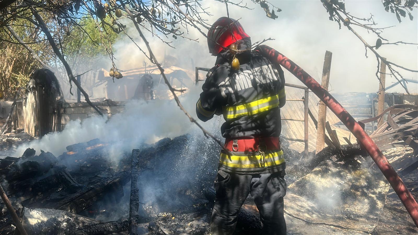 Incendiu de vegetație uscată în localitatea Grădina: pompierii constănțeni au intervenit cu mai multe echipaje WhatsApp Image 2025 07 13 at 16.04.13 1