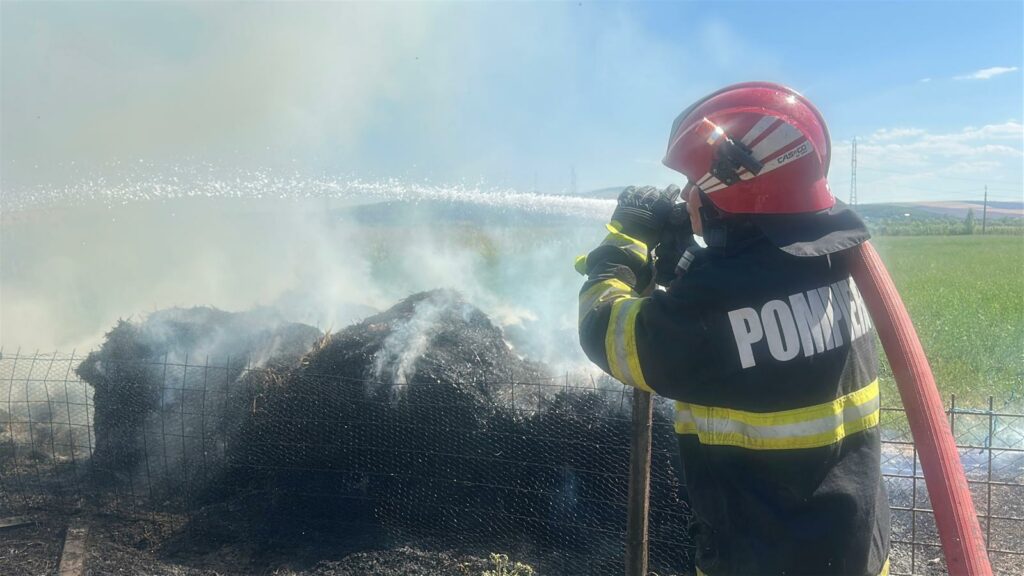FOTO VIDEO Incendiu violent în Tulcea: Pompierii luptă pentru salvarea unei microferme 3 FOTO VIDEO Incendiu violent în Tulcea: Pompierii luptă pentru salvarea unei microferme WhatsApp Image 2025 07 13 at 16.04.13 2
