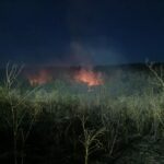 Incendiu devastator în Casian, Constanța! Primărița Iacobici: „Evacuați satul, nu e de glumă!” UPDATE WhatsApp Image 2025 07 13 at 22.23.47
