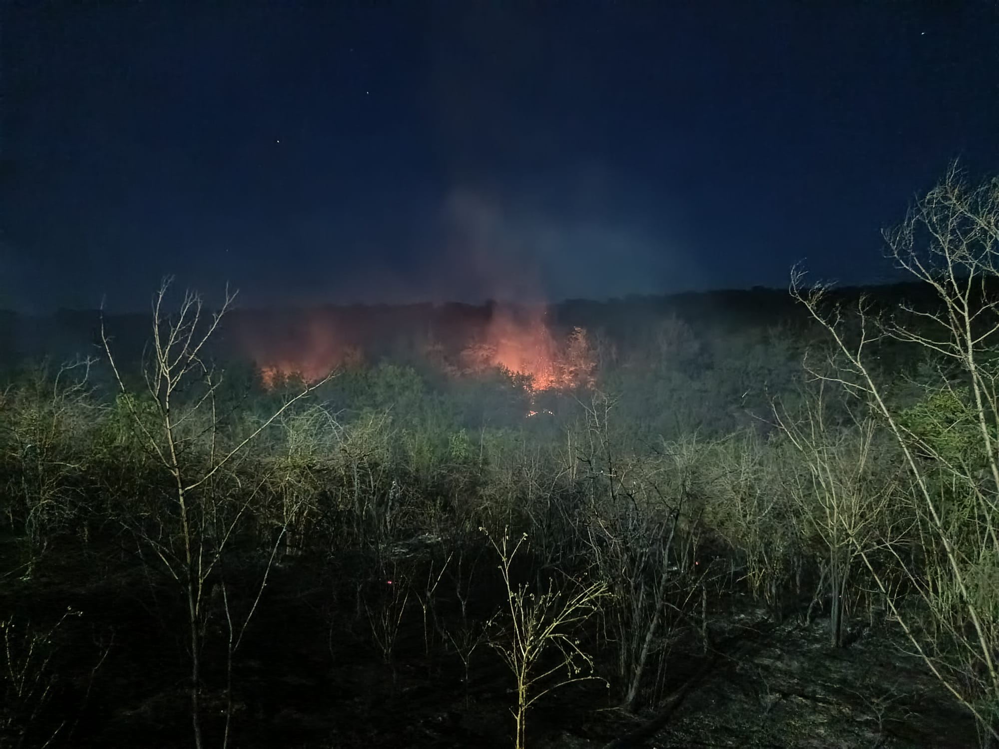 Incendiu devastator în Casian, Constanța! Primărița Iacobici: „Evacuați satul, nu e de glumă!” UPDATE WhatsApp Image 2025 07 13 at 22.23.47
