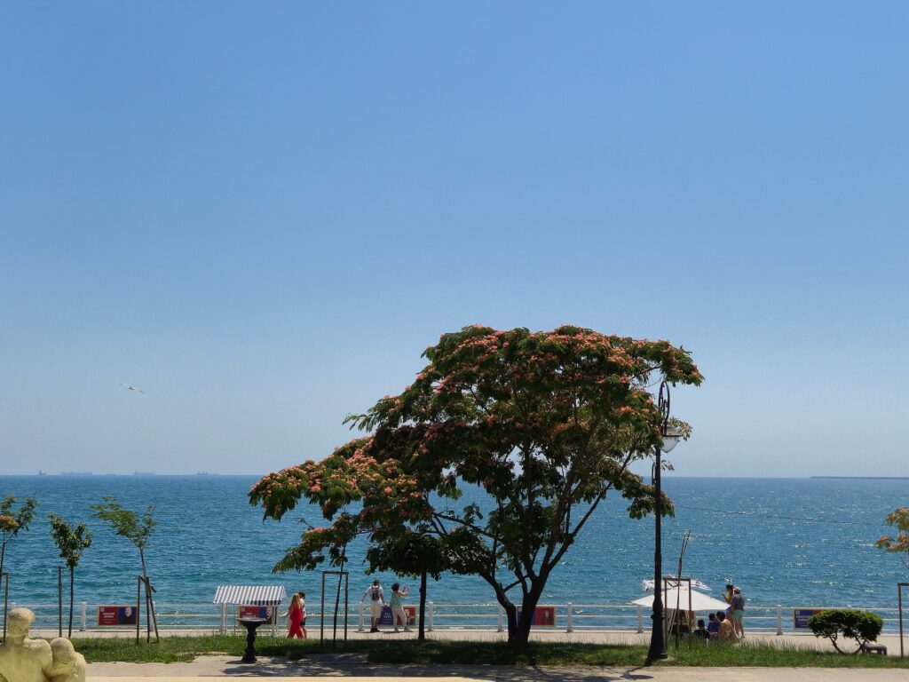 FOTO VIDEO Reședința Arhiepiscopului Teodosie: viața discretă dintr-un monument istoric din Constanța, cu vedere la mare 3 FOTO VIDEO Reședința Arhiepiscopului Teodosie: viața discretă dintr-un monument istoric din Constanța, cu vedere la mare WhatsApp Image 2025 07 14 at 08.17.04