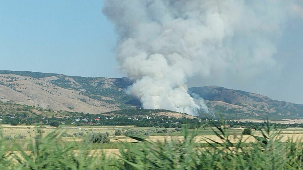 FOTO VIDEO Apel urgent: Se caută voluntari pentru stingerea incendiului de la pădurea Greci, Tulcea 2 FOTO VIDEO Apel urgent: Se caută voluntari pentru stingerea incendiului de la pădurea Greci, Tulcea WhatsApp Image 2025 07 14 at 18.38.51