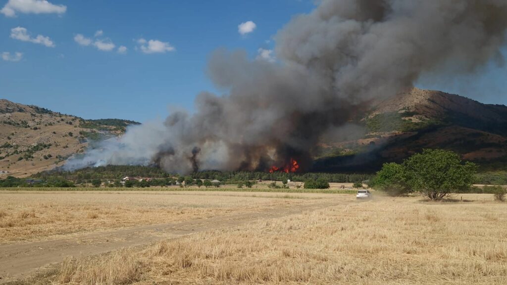 FOTO VIDEO Apel urgent: Se caută voluntari pentru stingerea incendiului de la pădurea Greci, Tulcea 3 FOTO VIDEO Apel urgent: Se caută voluntari pentru stingerea incendiului de la pădurea Greci, Tulcea WhatsApp Image 2025 07 14 at 18.38.52