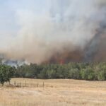 FOTO VIDEO Apel urgent: Se caută voluntari pentru stingerea incendiului de la pădurea Greci, Tulcea WhatsApp Image 2025 07 14 at 18.42.06