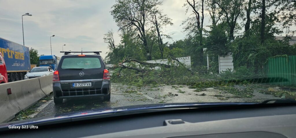 FOTO VIDEO Cod roșu de furtună. O femeie de 49 de ani a murit în Otopeni, lovită de bucăți de acoperiș WhatsApp Image 2025 07 17 at 19.34.17