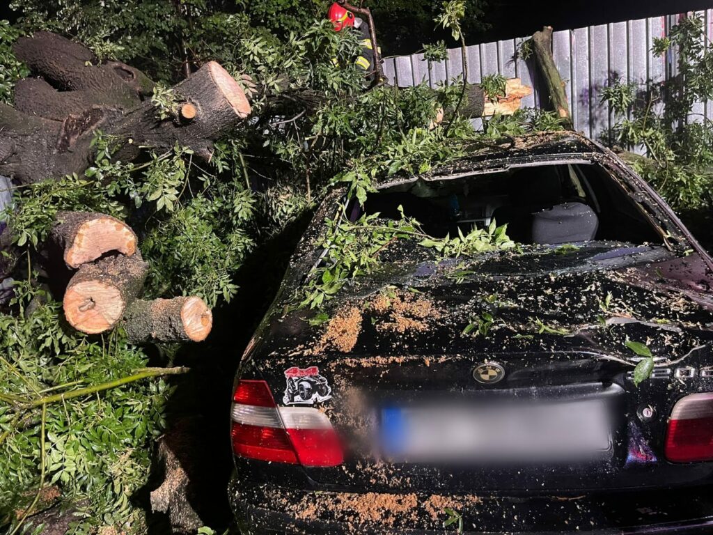 FOTO Ce a rămas în urma furtunii: Cod roșu în 14 județe și București/ O persoană decedată, două rănite și pagube semnificative WhatsApp Image 2025 07 18 at 08.52.04
