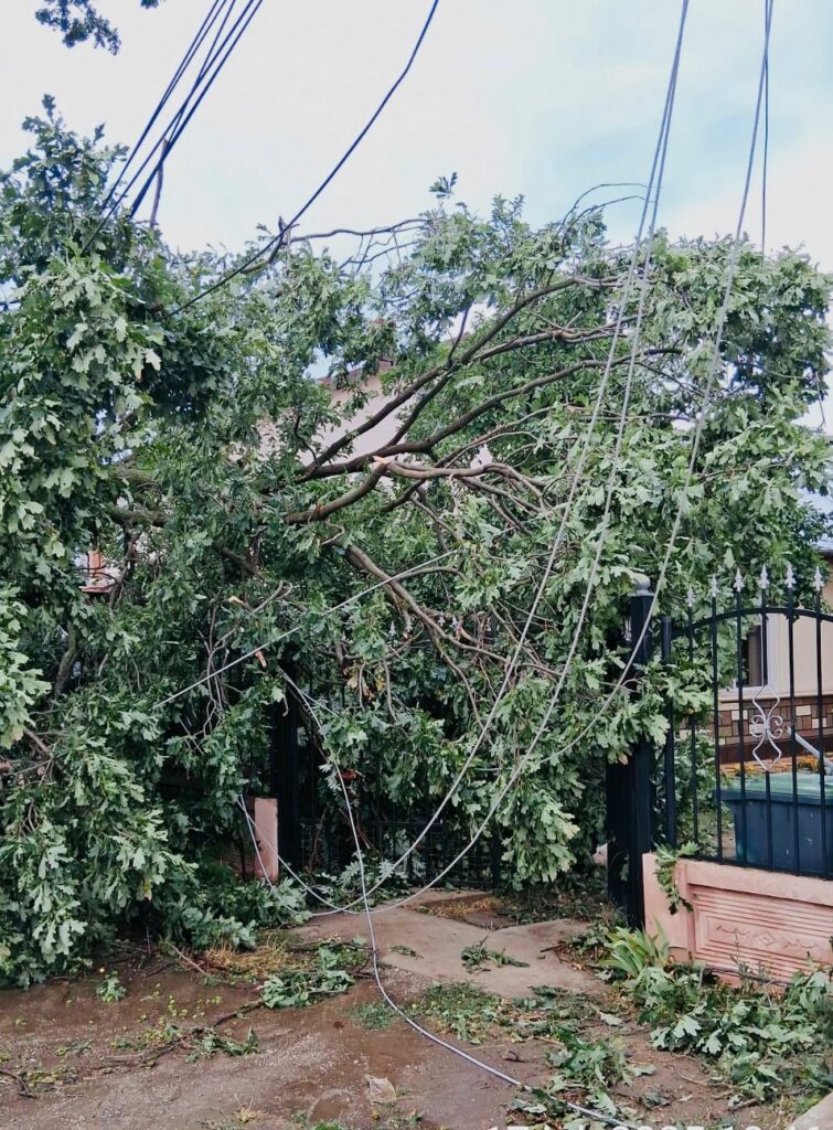 FOTO Ce a rămas în urma furtunii: Cod roșu în 14 județe și București/ O persoană decedată, două rănite și pagube semnificative WhatsApp Image 2025 07 18 at 08.54.40 1