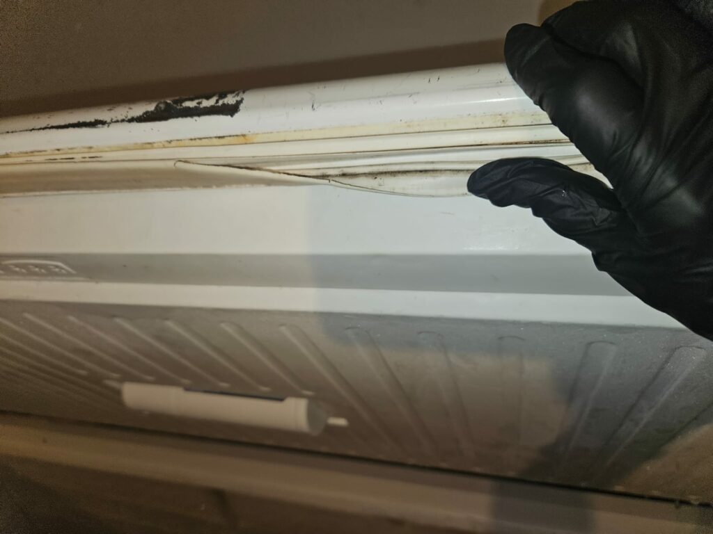 FOTO VIDEO Comisarii ANPC au închis temporar șapte cluburi din Vama Veche și Costinești. Iată ce nereguli au fost constatate 15 FOTO VIDEO Comisarii ANPC au închis temporar șapte cluburi din Vama Veche și Costinești. Iată ce nereguli au fost constatate WhatsApp Image 2025 07 19 at 06.33.40 3