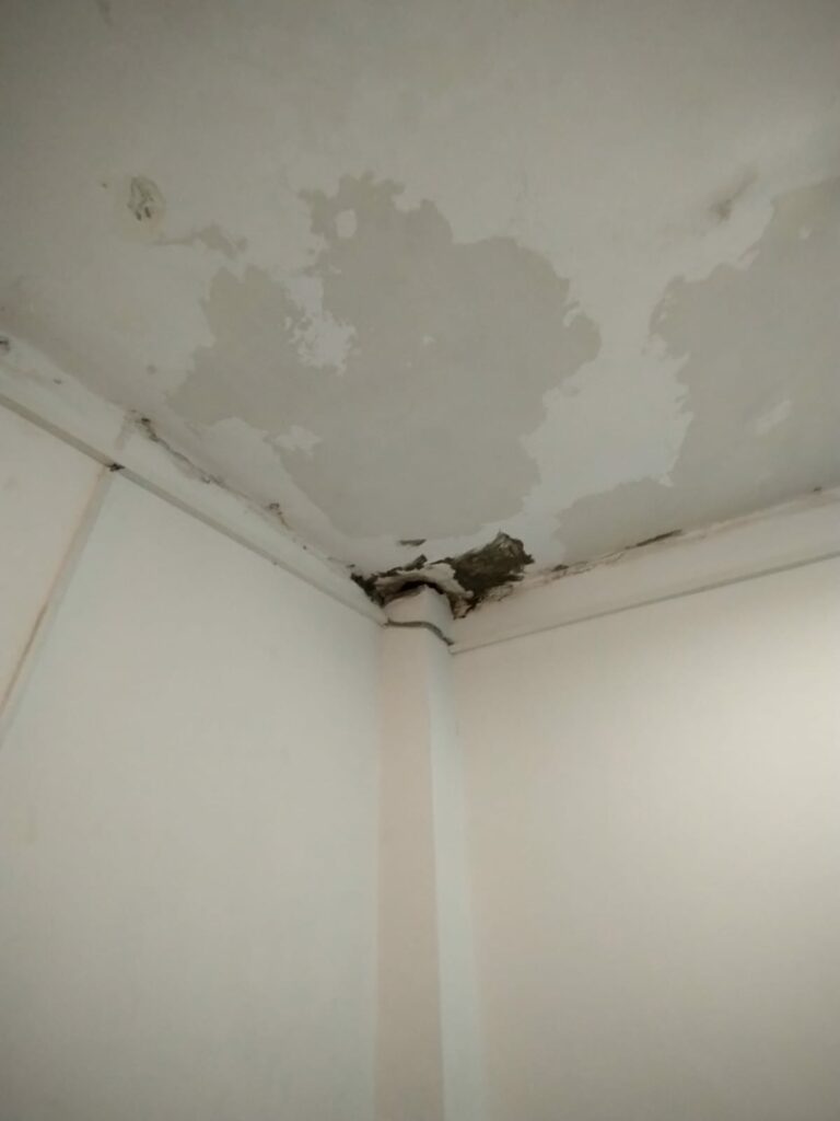 FOTO VIDEO Comisarii ANPC au închis temporar șapte cluburi din Vama Veche și Costinești. Iată ce nereguli au fost constatate 8 FOTO VIDEO Comisarii ANPC au închis temporar șapte cluburi din Vama Veche și Costinești. Iată ce nereguli au fost constatate WhatsApp Image 2025 07 19 at 06.34.01 1