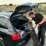 FOTO VIDEO Acțiune cu forțe mărite în Medgidia. Zeci de amenzi aplicate WhatsApp Image 2025 07 20 at 13.46.35 1