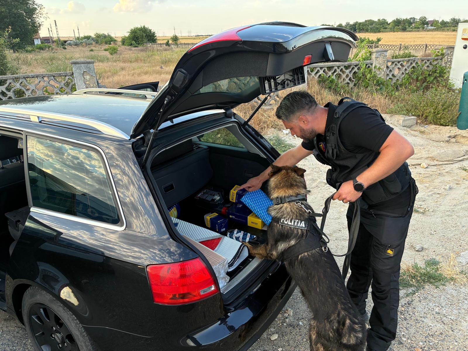 FOTO VIDEO Acțiune cu forțe mărite în Medgidia. Zeci de amenzi aplicate WhatsApp Image 2025 07 20 at 13.46.35 1