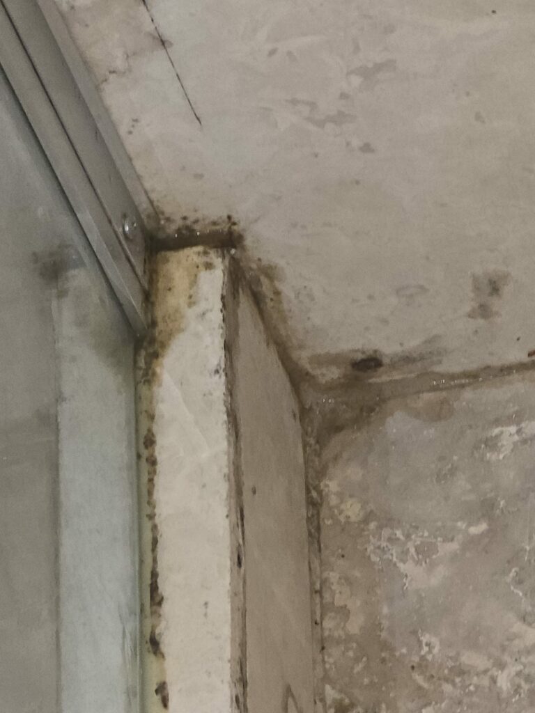 FOTO „Doar 450 de lei” ca să dormi cu gândacii în pat și să te ștergi cu rugină după ce te speli în cabina cu mucegai, la Eforie Nord/ O vacanță de coșmar pentru doi turiști din București 18 FOTO „Doar 450 de lei” ca să dormi cu gândacii în pat și să te ștergi cu rugină după ce te speli în cabina cu mucegai, la Eforie Nord/ O vacanță de coșmar pentru doi turiști din București WhatsApp Image 2025 07 28 at 06.27.03 3 1