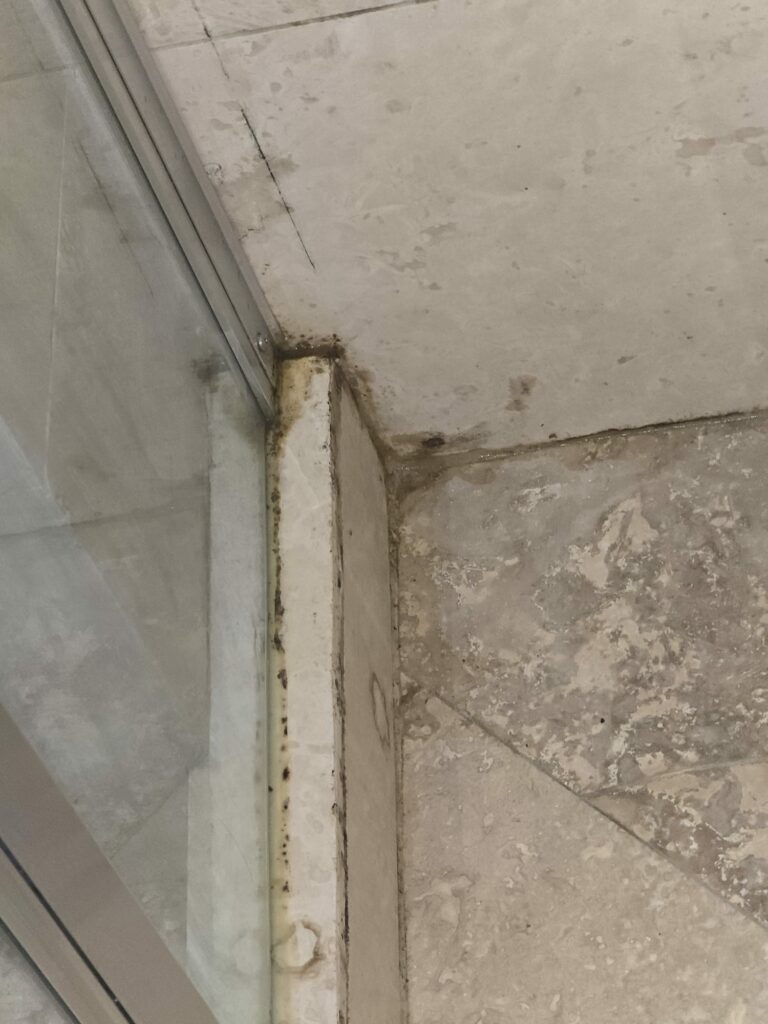 FOTO „Doar 450 de lei” ca să dormi cu gândacii în pat și să te ștergi cu rugină după ce te speli în cabina cu mucegai, la Eforie Nord/ O vacanță de coșmar pentru doi turiști din București 17 FOTO „Doar 450 de lei” ca să dormi cu gândacii în pat și să te ștergi cu rugină după ce te speli în cabina cu mucegai, la Eforie Nord/ O vacanță de coșmar pentru doi turiști din București WhatsApp Image 2025 07 28 at 06.27.03 4 1