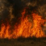 Semnal de alarmă al pompierilor constănțeni: 270 de incendii au devastat județul b189d736 cfd4 43cf 9729 054bb479b192