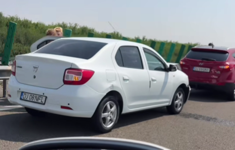 FOTO VIDEO Carambol cu trei mașini, pe Autostrada Soarelui, pe sensul spre Constanța 3 FOTO VIDEO Carambol cu trei mașini, pe Autostrada Soarelui, pe sensul spre Constanța bjnt