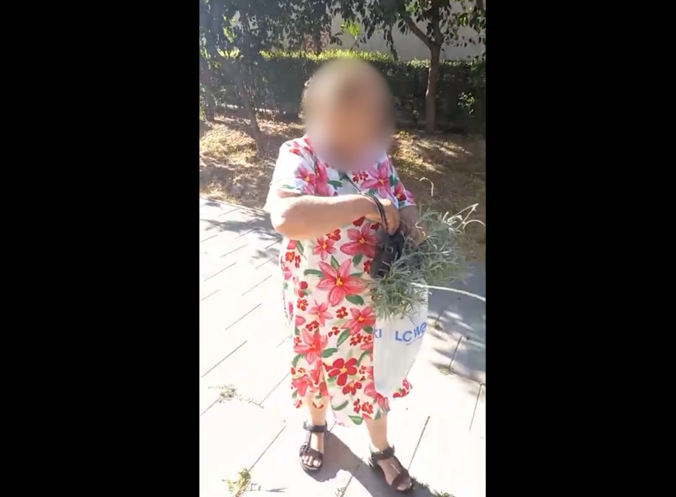 VIDEO Persoană surprinsă în timp ce încerca să sustragă lavanda plantată pe domeniul public furt