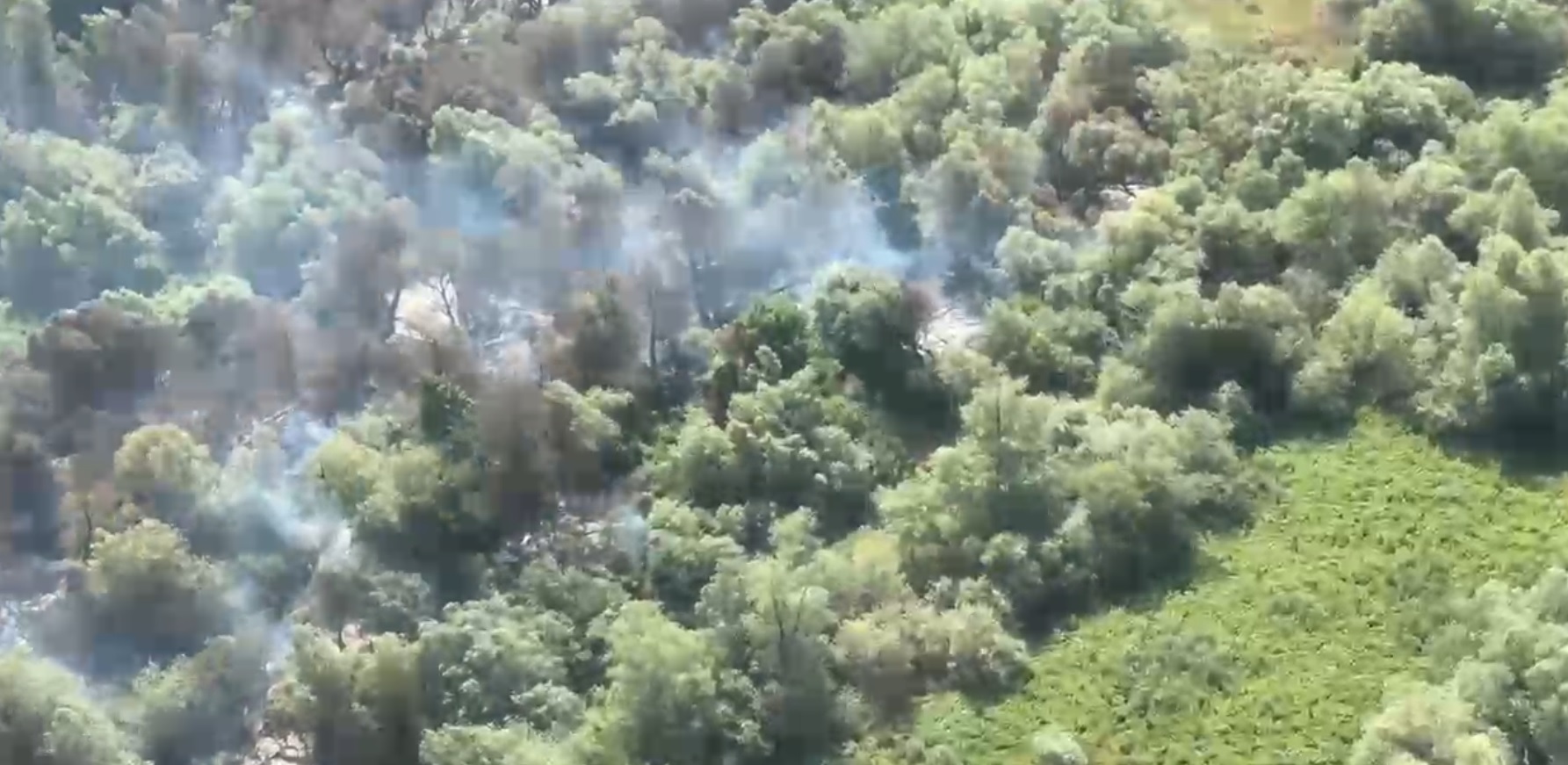 VIDEO Incendiul de la Chilia face ravagii: pompierii, în a treia zi de luptă cu flăcările UPDATE incendiu ch