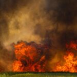 Incendiu la un saivan din Negrești, Constanța! Intervin mai multe echipaje de pompieri și SMURD incendiu orz